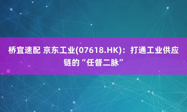 桥宜速配 京东工业(07618.HK)：打通工业供应链的“任督二脉”