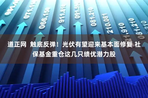 道正网  触底反弹！光伏有望迎来基本面修复 社保基金重仓这几只绩优潜力股