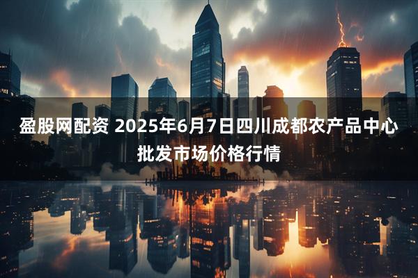盈股网配资 2025年6月7日四川成都农产品中心批发市场价格行情
